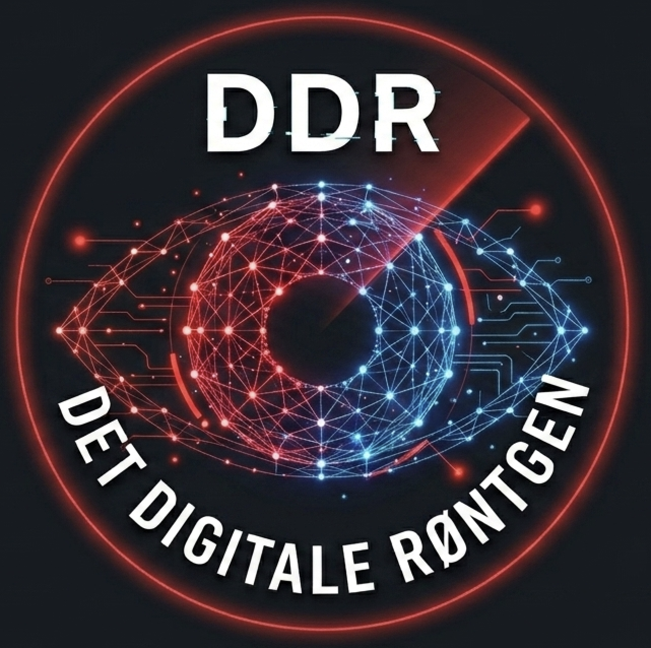 DDR- Det Digitale Røntgen